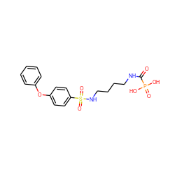 O=C(NCCCCNS(=O)(=O)c1ccc(Oc2ccccc2)cc1)P(=O)(O)O ZINC000095557747