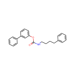 O=C(NCCCCc1ccccc1)Oc1cccc(-c2ccccc2)c1 ZINC000045484332