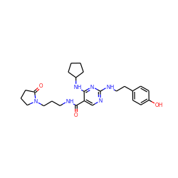 O=C(NCCCN1CCCC1=O)c1cnc(NCCc2ccc(O)cc2)nc1NC1CCCC1 ZINC000095595082