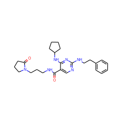 O=C(NCCCN1CCCC1=O)c1cnc(NCCc2ccccc2)nc1NC1CCCC1 ZINC000095595585