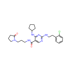 O=C(NCCCN1CCCC1=O)c1cnc(NCCc2ccccc2Cl)nc1NC1CCCC1 ZINC000095597561