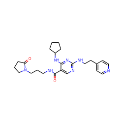 O=C(NCCCN1CCCC1=O)c1cnc(NCCc2ccncc2)nc1NC1CCCC1 ZINC000095596085