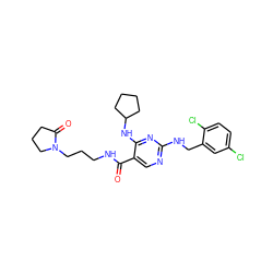 O=C(NCCCN1CCCC1=O)c1cnc(NCc2cc(Cl)ccc2Cl)nc1NC1CCCC1 ZINC000095593995