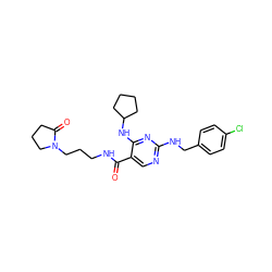 O=C(NCCCN1CCCC1=O)c1cnc(NCc2ccc(Cl)cc2)nc1NC1CCCC1 ZINC000095596541