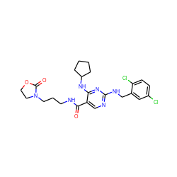 O=C(NCCCN1CCOC1=O)c1cnc(NCc2cc(Cl)ccc2Cl)nc1NC1CCCC1 ZINC000095596939