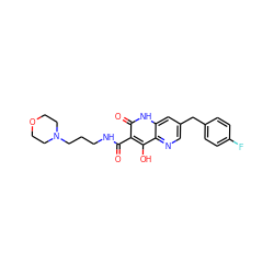 O=C(NCCCN1CCOCC1)c1c(O)c2ncc(Cc3ccc(F)cc3)cc2[nH]c1=O ZINC000035952065