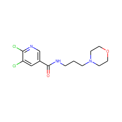 O=C(NCCCN1CCOCC1)c1cnc(Cl)c(Cl)c1 ZINC000037387347