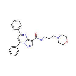 O=C(NCCCN1CCOCC1)c1cnn2c(-c3ccccc3)cc(-c3ccccc3)nc12 ZINC000019774244