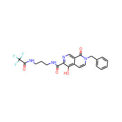 O=C(NCCCNC(=O)C(F)(F)F)c1ncc2c(=O)n(Cc3ccccc3)ccc2c1O ZINC000169710986