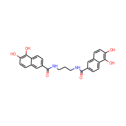 O=C(NCCCNC(=O)c1ccc2c(O)c(O)ccc2c1)c1ccc2c(O)c(O)ccc2c1 ZINC000001651541