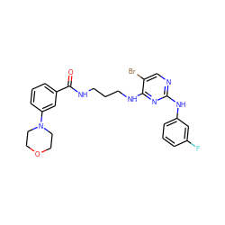 O=C(NCCCNc1nc(Nc2cccc(F)c2)ncc1Br)c1cccc(N2CCOCC2)c1 ZINC000095561391