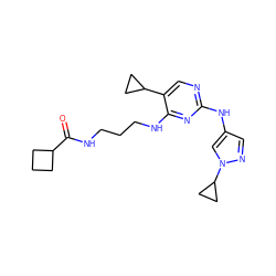 O=C(NCCCNc1nc(Nc2cnn(C3CC3)c2)ncc1C1CC1)C1CCC1 ZINC000095560910