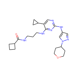 O=C(NCCCNc1nc(Nc2cnn(C3CCOCC3)c2)ncc1C1CC1)C1CCC1 ZINC000095562389