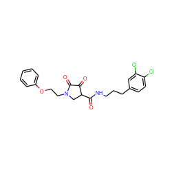 O=C(NCCCc1ccc(Cl)c(Cl)c1)C1CN(CCOc2ccccc2)C(=O)C1=O ZINC000206884078