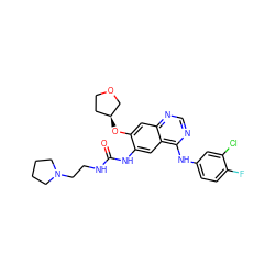 O=C(NCCN1CCCC1)Nc1cc2c(Nc3ccc(F)c(Cl)c3)ncnc2cc1O[C@H]1CCOC1 ZINC000103253604