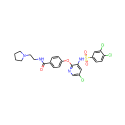 O=C(NCCN1CCCC1)c1ccc(Oc2ncc(Cl)cc2NS(=O)(=O)c2ccc(Cl)c(Cl)c2)cc1 ZINC000073142441