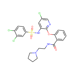 O=C(NCCN1CCCC1)c1ccccc1Oc1ncc(Cl)cc1NS(=O)(=O)c1ccc(Cl)c(Cl)c1 ZINC000073168310