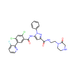 O=C(NCCN1CCNCC1=O)c1cc(NC(=O)c2cc(-c3ncccc3F)c(Cl)cc2Cl)n(-c2ccccc2)n1 ZINC001772605773