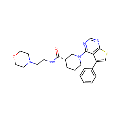 O=C(NCCN1CCOCC1)[C@H]1CCCN(c2ncnc3scc(-c4ccccc4)c23)C1 ZINC000653684776