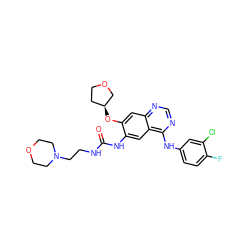 O=C(NCCN1CCOCC1)Nc1cc2c(Nc3ccc(F)c(Cl)c3)ncnc2cc1O[C@H]1CCOC1 ZINC000103253614