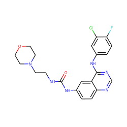 O=C(NCCN1CCOCC1)Nc1ccc2ncnc(Nc3ccc(F)c(Cl)c3)c2c1 ZINC000653913862