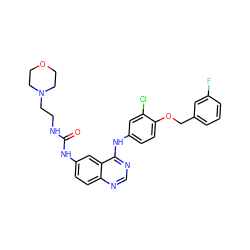 O=C(NCCN1CCOCC1)Nc1ccc2ncnc(Nc3ccc(OCc4cccc(F)c4)c(Cl)c3)c2c1 ZINC000653857952