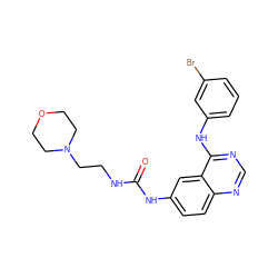 O=C(NCCN1CCOCC1)Nc1ccc2ncnc(Nc3cccc(Br)c3)c2c1 ZINC000653861835