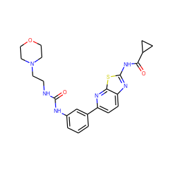 O=C(NCCN1CCOCC1)Nc1cccc(-c2ccc3nc(NC(=O)C4CC4)sc3n2)c1 ZINC000116891685