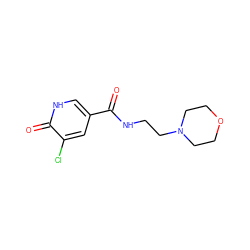 O=C(NCCN1CCOCC1)c1c[nH]c(=O)c(Cl)c1 ZINC000045368064