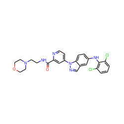 O=C(NCCN1CCOCC1)c1cc(-n2ncc3cc(Nc4c(Cl)cccc4Cl)ccc32)ccn1 ZINC000096906715