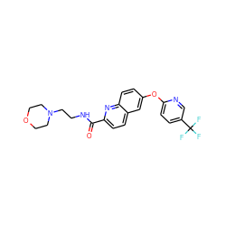 O=C(NCCN1CCOCC1)c1ccc2cc(Oc3ccc(C(F)(F)F)cn3)ccc2n1 ZINC001772646451
