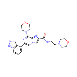 O=C(NCCN1CCOCC1)c1cn2cc(-c3cccc4[nH]ncc34)nc(N3CCOCC3)c2n1 ZINC000073310697