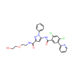 O=C(NCCOCCO)c1cc(NC(=O)c2cc(-c3ccccn3)c(Cl)cc2Cl)n(-c2ccccc2)n1 ZINC001772618345