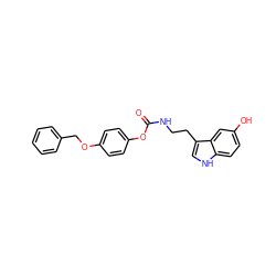 O=C(NCCc1c[nH]c2ccc(O)cc12)Oc1ccc(OCc2ccccc2)cc1 ZINC000014979797