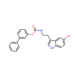 O=C(NCCc1c[nH]c2ccc(O)cc12)Oc1cccc(-c2ccccc2)c1 ZINC000014979765