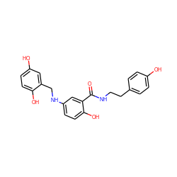 O=C(NCCc1ccc(O)cc1)c1cc(NCc2cc(O)ccc2O)ccc1O ZINC000013861843