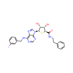 O=C(NCCc1ccccc1)[C@H]1S[C@@H](n2cnc3c(NCc4cccc(I)c4)ncnc32)[C@H](O)[C@@H]1O ZINC000049761810