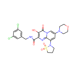 O=C(NCc1cc(Cl)cc(Cl)c1)c1nc2c(N3CCCS3(=O)=O)cc(N3CCOCC3)cn2c(=O)c1O ZINC000064540200