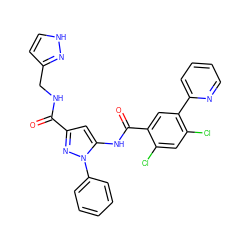 O=C(NCc1cc[nH]n1)c1cc(NC(=O)c2cc(-c3ccccn3)c(Cl)cc2Cl)n(-c2ccccc2)n1 ZINC001772613742