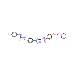 O=C(NCc1ccc(-c2cc(NC(=O)c3ccc(OCCN4CCOCC4)cc3)[nH]n2)cc1)Nc1ccc(F)cc1 ZINC000096270653