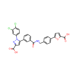 O=C(NCc1ccc(-c2ccc(C(=O)O)o2)cc1)c1cccc(-c2cc(C(=O)O)nn2-c2ccc(Cl)c(Cl)c2)c1 ZINC000299861415