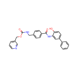 O=C(NCc1ccc(C(=O)Nc2cc(-c3ccccc3)ccc2O)cc1)OCc1cccnc1 ZINC000145983895