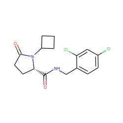 O=C(NCc1ccc(Cl)cc1Cl)[C@@H]1CCC(=O)N1C1CCC1 ZINC000095565215