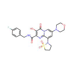 O=C(NCc1ccc(F)cc1)c1nc2c(N3CCCS3(=O)=O)cc(N3CCOCC3)cn2c(=O)c1O ZINC000064540199