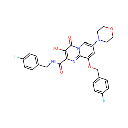 O=C(NCc1ccc(F)cc1)c1nc2c(OCc3ccc(F)cc3)cc(N3CCOCC3)cn2c(=O)c1O ZINC000064539817