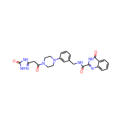 O=C(NCc1cccc(N2CCN(C(=O)Cc3n[nH]c(=O)[nH]3)CC2)c1)c1nc2ccccc2c(=O)[nH]1 ZINC000114401023