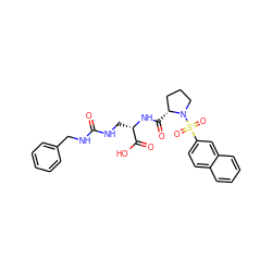 O=C(NCc1ccccc1)NC[C@H](NC(=O)[C@@H]1CCCN1S(=O)(=O)c1ccc2ccccc2c1)C(=O)O ZINC000014969767