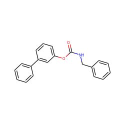 O=C(NCc1ccccc1)Oc1cccc(-c2ccccc2)c1 ZINC000040939752