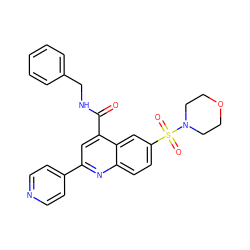 O=C(NCc1ccccc1)c1cc(-c2ccncc2)nc2ccc(S(=O)(=O)N3CCOCC3)cc12 ZINC000006238471