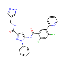 O=C(NCc1cn[nH]c1)c1cc(NC(=O)c2cc(-c3ccccn3)c(Cl)cc2Cl)n(-c2ccccc2)n1 ZINC001772623339